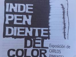 muestra-independientes-de-color-de-carlos-pimentel